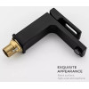 Смеситель для раковины Lamber G1017-6 черный матовый