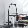 Смеситель для кухни с подключением фильтрованной воды Lamber 2698-56 Черный матовый