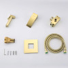 Змішувач для біде прихованого монтажу Lamber 7277-33 GOLD