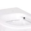 Унитаз напольный Qtap Swan с сиденьем Slim Duroplast Soft-close Quick relase белый