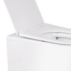 Унитаз напольный Qtap Swan с сиденьем Slim Duroplast Soft-close Quick relase белый
