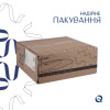 Умывальник накладной Qtap Owl 400х400х155 мм